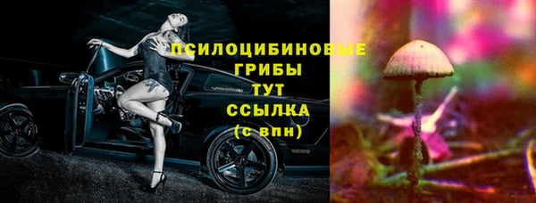 кокс Алексин