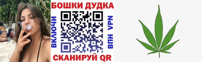 Канабис сатива  как найти наркотики  Яровое 